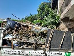 Best Carpet Removal and Disposal  in Converse, TX